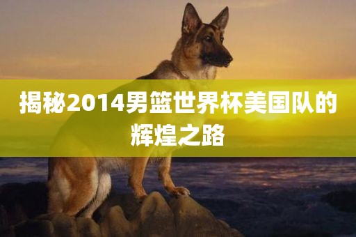 揭秘2014男篮世界杯美国队的辉煌之路眉山市正发家政服务有限公司