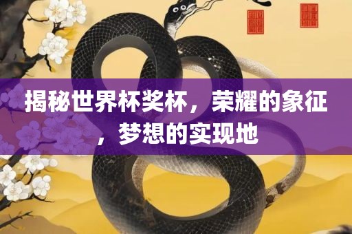 揭秘世界杯奖杯，荣耀的象征，梦想的实现地