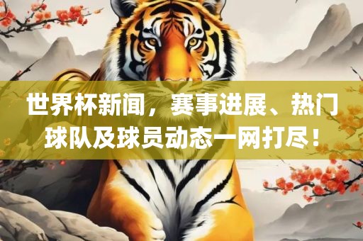 世界杯新闻，赛事进展、热门球队及球员动态一网打尽！