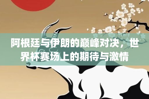 阿根廷与伊朗的巅峰对决，世界杯赛场上的期待与激情