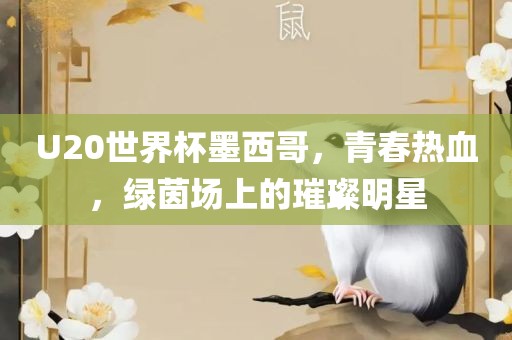 U20世界杯墨西哥，青春热血，绿茵场上的璀璨明星眉山市正发家政服务有限公司