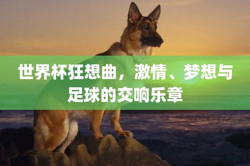世界杯狂想曲，激情、梦想与足球的交响乐章眉山市正发家政服务有限公司