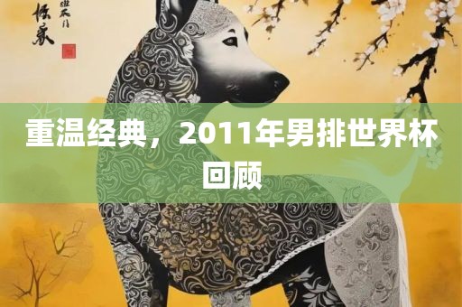 重温经典，2011年男排世界杯回顾