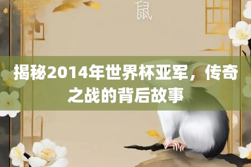 揭秘2014年世界杯亚军，传奇之战的背后故事