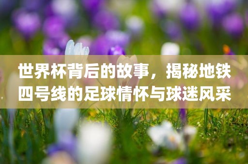 世界杯背后的故事，揭秘地铁四号线的足球情怀与球迷风采眉山市正发家政服务有限公司
