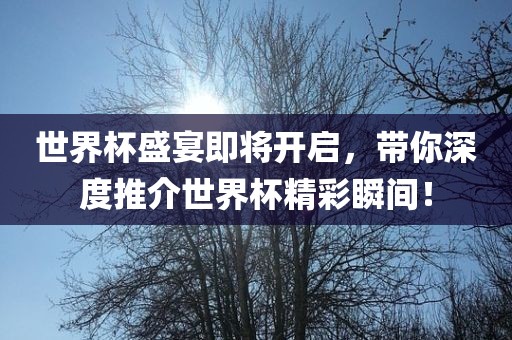 世界杯盛宴即将开启，带你深度推介世界杯精彩瞬间！眉山市正发家政服务有限公司