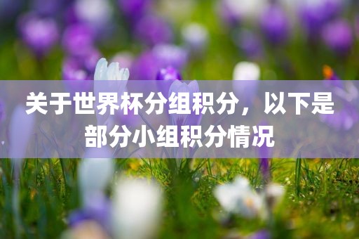 关于世界杯分组积分，以下是部分小组积分情况眉山市正发家政服务有限公司
