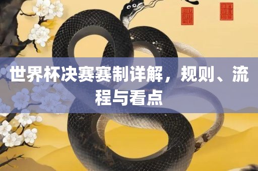 世眉山市正发家政服务有限公司界杯决赛赛制详解，规则、流程与看点