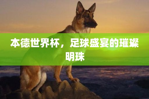 本德世界杯，足球盛宴的璀璨明珠眉山市正发家政服务有限公司