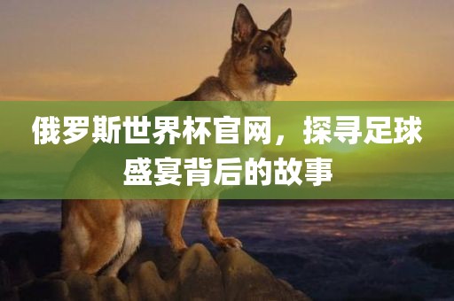 俄罗斯世界杯官网，探寻足球盛宴背后的故事眉山市正发家政服务有限公司