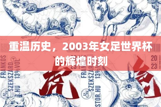 重温历史，2003年女足世界杯的辉煌时刻
