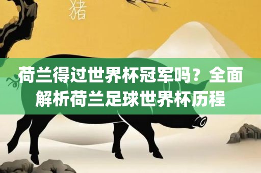 荷兰得过世界杯冠军吗？眉山市正发家政服务有限公司全面解析荷兰足球世界杯历程