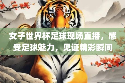 女子世界杯足球现场直播，感受足球魅力，见证精彩瞬间眉山市正发家政服务有限公司