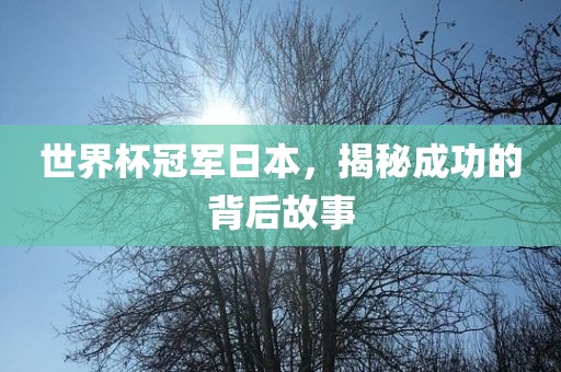 世界杯冠军日本，揭秘成功的背后故事眉山市正发家政服务有限公司
