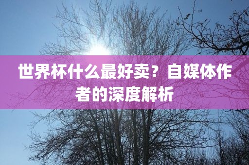 世界杯什么最好卖？自媒体作者的深度解析眉山市正发家政服务有限公司