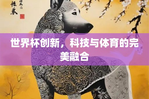世界杯创新，科技与体育的完美融合