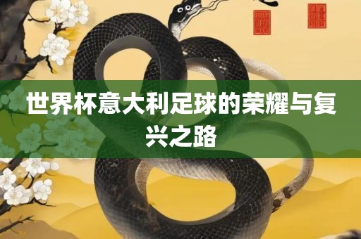 世界杯意大利足球的荣耀与复兴之路眉山市正发家政服务有限公司