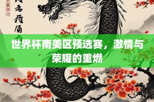 世界杯南美区预选赛，激情与荣耀的重燃