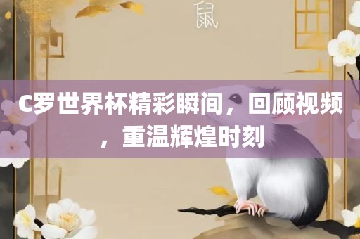 C罗世界杯精彩瞬间，回顾视频，重温辉煌时刻