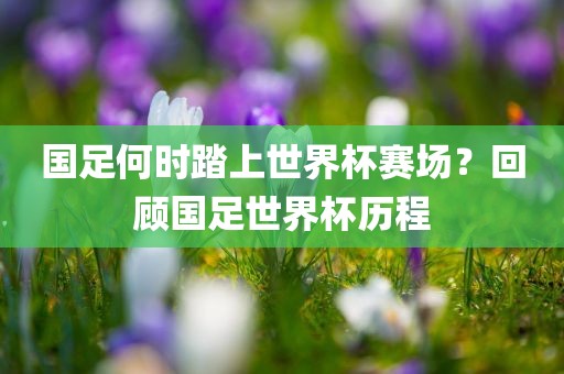 国足何时踏上世界杯赛场？回顾国足世界杯历程眉山市正发家政服务有限公司