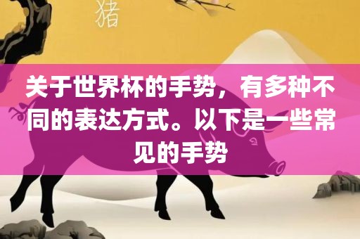 guoyuwei 第8页