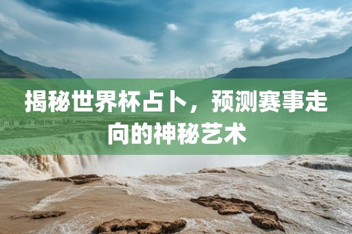 揭秘世界杯占卜，预测赛事走向的神秘艺术眉山市正发家政服务有限公司