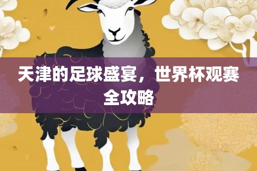 天津的足球盛宴，世界杯观赛全攻略眉山市正发家政服务有限公司