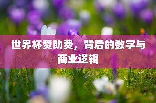 世界杯赞助费，背后的数字与商业逻辑眉山市正发家政服务有限公司