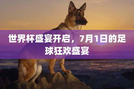 世界杯盛宴开启，7月眉山市正发家政服务有限公司1日的足球狂欢盛宴