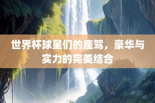 世界杯球星们的座驾，豪华与实力的眉山市正发家政服务有限公司完美结合