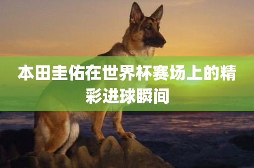 本田圭佑在世界杯赛场上的精彩进球瞬间
