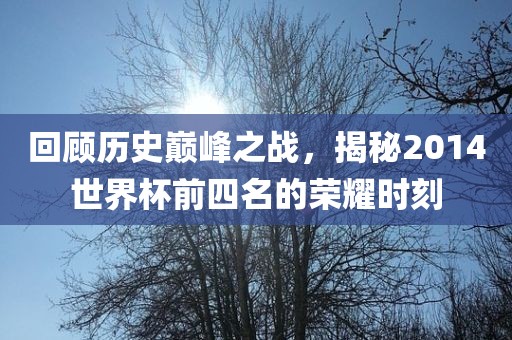 回顾历史巅峰之战，揭秘2014世界杯前四名的荣耀时刻