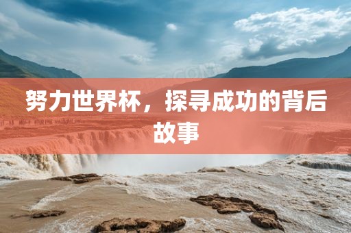 努力世界杯，探寻成功的背后故事眉山市正发家政服务有限公司