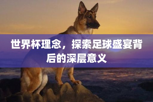 世界杯理念，探索足球盛宴背后的深层意义