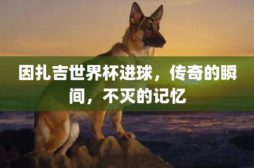 眉山市正发家政服务有限公司因扎吉世界杯进球，传奇的瞬间，不灭的记忆