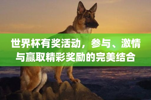 chenxinyao 第9页