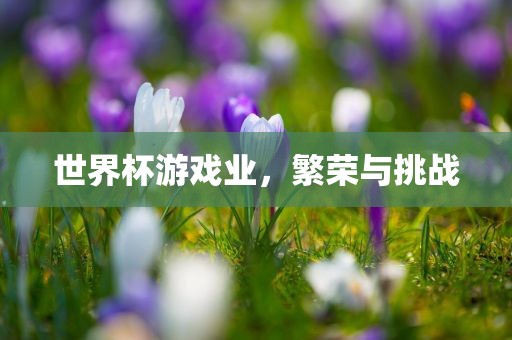 世界杯游戏业，繁荣与挑战眉山市正发家政服务有限公司