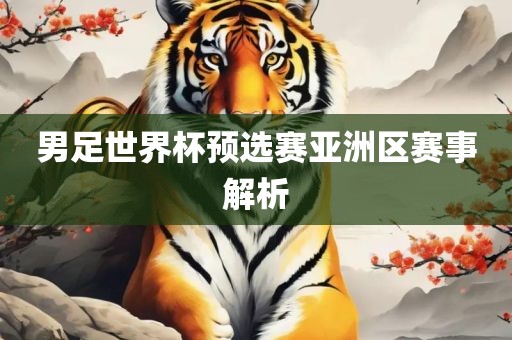 男足世界杯预选赛亚洲区赛事解析