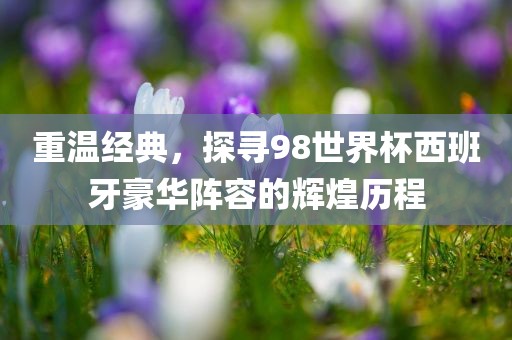重温经典，探寻98世界杯西班牙豪华阵容的辉煌历程