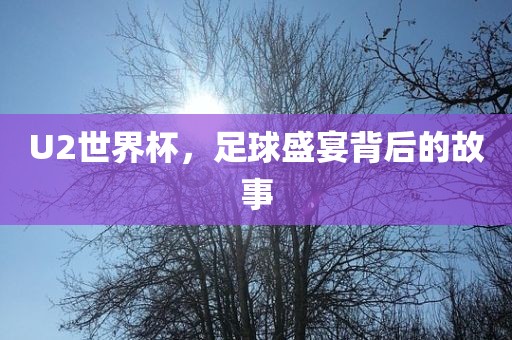 U2世界杯，足球盛宴背后的故事眉山市正发家政服务有限公司