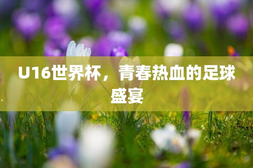 U16世界杯，青春热血的足球盛宴眉山市正发家政服务有限公司