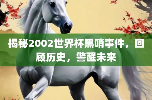 揭秘2002世界杯黑哨事件，回顾历史，警醒未来