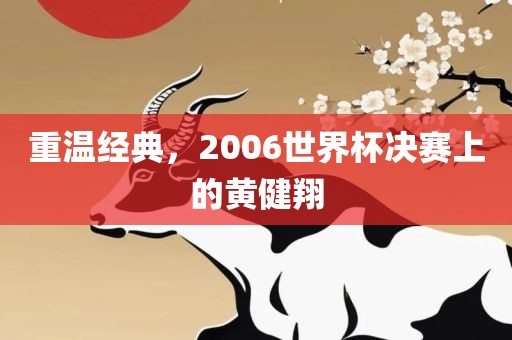 重温经典，2006世界杯决赛上的黄健翔