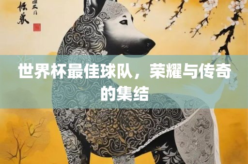 世界杯最佳球队，荣耀与传奇的集结