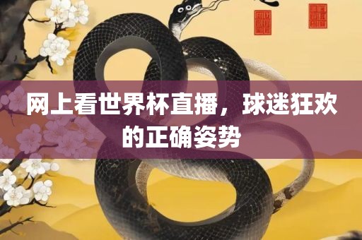 网上看世界杯直播，球迷狂欢的正确姿势眉山市正发家政服务有限公司