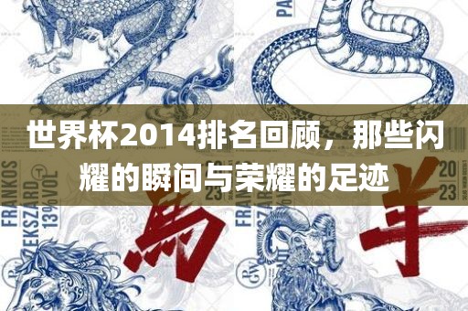 世界杯2014排名回顾，那些闪耀的瞬间与荣耀的足迹眉山市正发家政服务有限公司