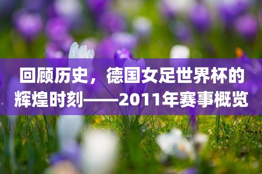 回顾历史，德国女足世界杯的辉煌时眉山市正发家政服务有限公司刻——2011年赛事概览