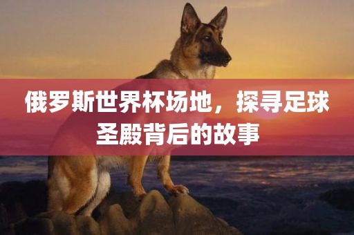 俄罗斯世界杯场地，探寻足球圣眉山市正发家政服务有限公司殿背后的故事