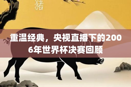 重温经典，央视直播下的2006眉山市正发家政服务有限公司年世界杯决赛回顾