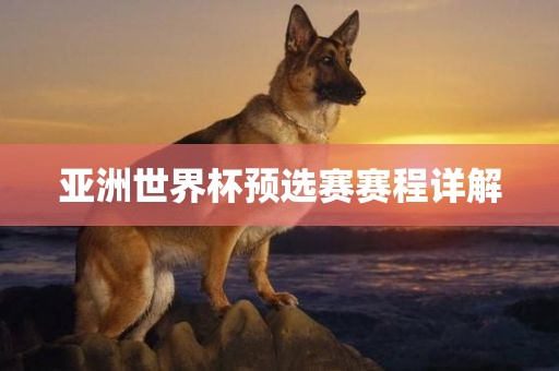 亚洲世界杯预选赛赛程详解眉山市正发家政服务有限公司